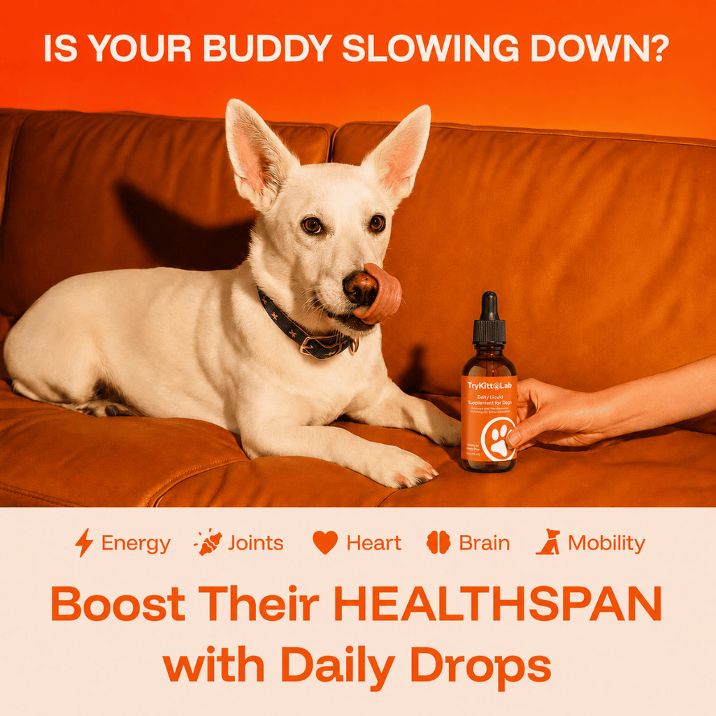 TryKittoLab Daily Dog Supplement (Copy)