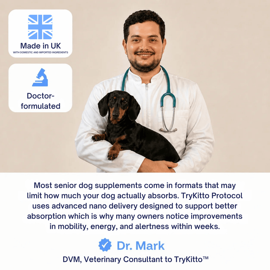 TryKittoLab Daily Dog Supplement (Copy)