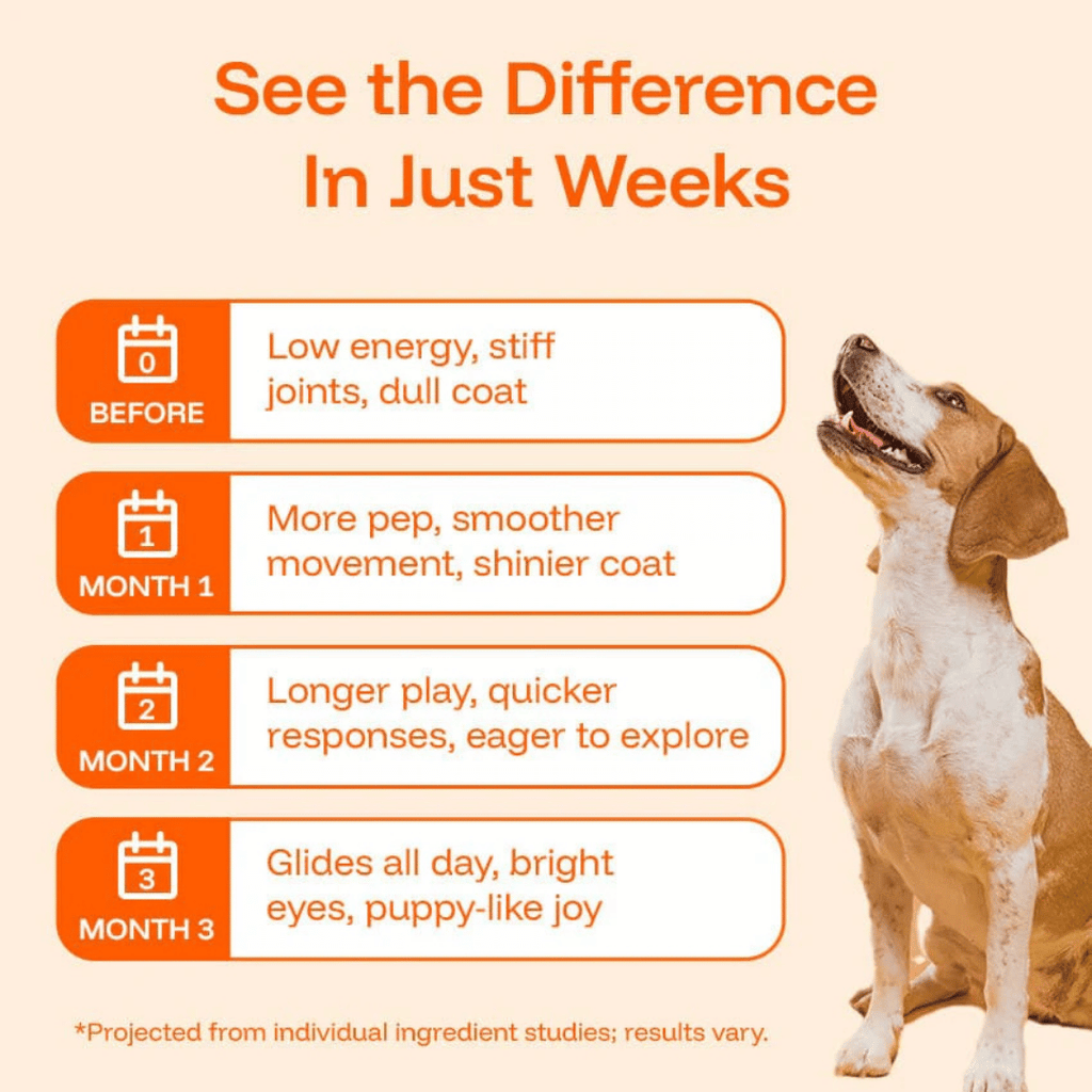 TryKittoLab Daily Dog Supplement (Copy)