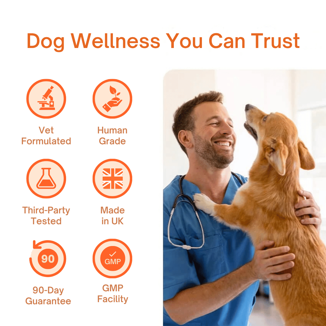 TryKittoLab Daily Dog Supplement (Copy)