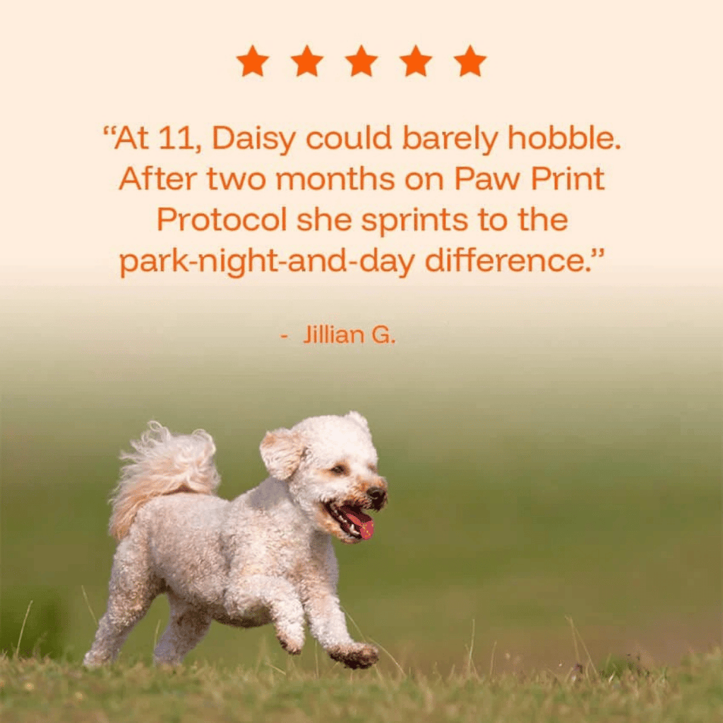TryKittoLab Daily Dog Supplement (Copy)
